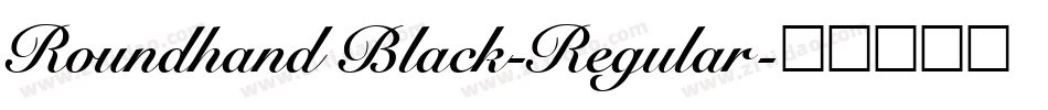 Roundhand Black-Regular字体转换